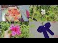 😊🌷1K subscriber cake celebration video🎉# thank you guys for supporting me😭🐣☘️#diy #Anii__official♡