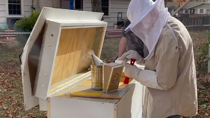 John gathering honey 2022