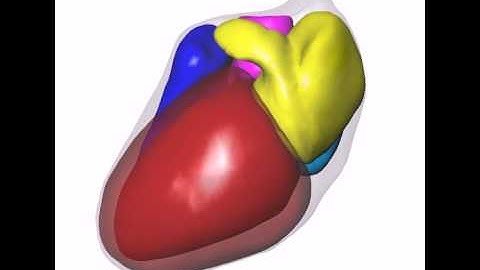 4D heart segmentation from CTA by atlas segmentation and 4D registration