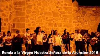 Ronda a la Virgen Nuestra Señora de la Asunción 2016