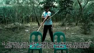 Celebrity PERFORMANCE TASK IN H.O.P.E (ARNIS) Net Worth