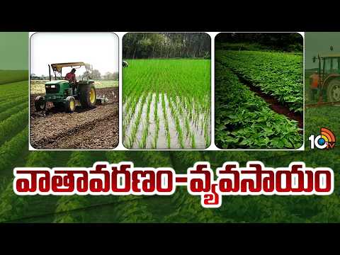 వాతావరణం-వ్యవసాయం | Weather Conditions | Weather Forcast | Matti Manishi | 10TV News - 10TVNEWSTELUGU
