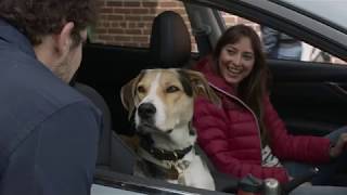 2018 Subaru Crosstrek | Subaru Commercial | Welcome to the Pack Extended Subaru Welcome Video