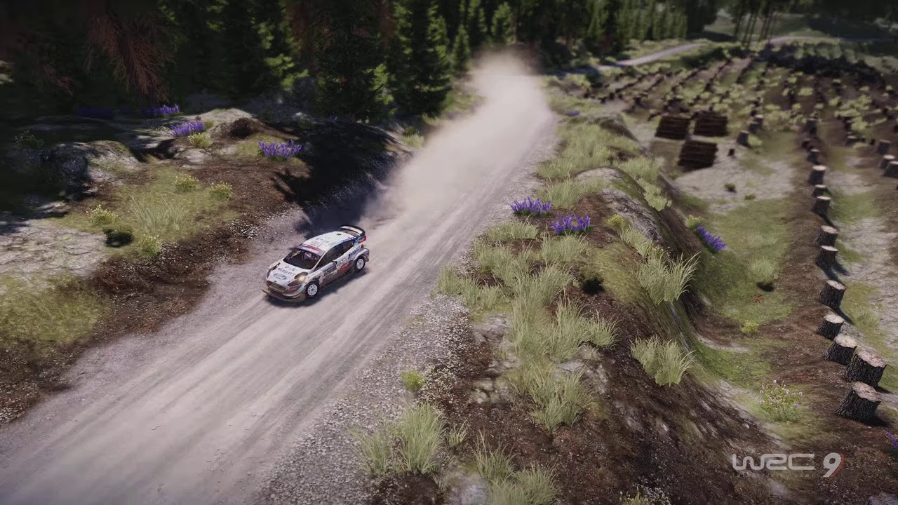 WRC 9 FIA world rally championship - rally Finland - Horkka - Ford fiesta WRC - PS5 Gameplay