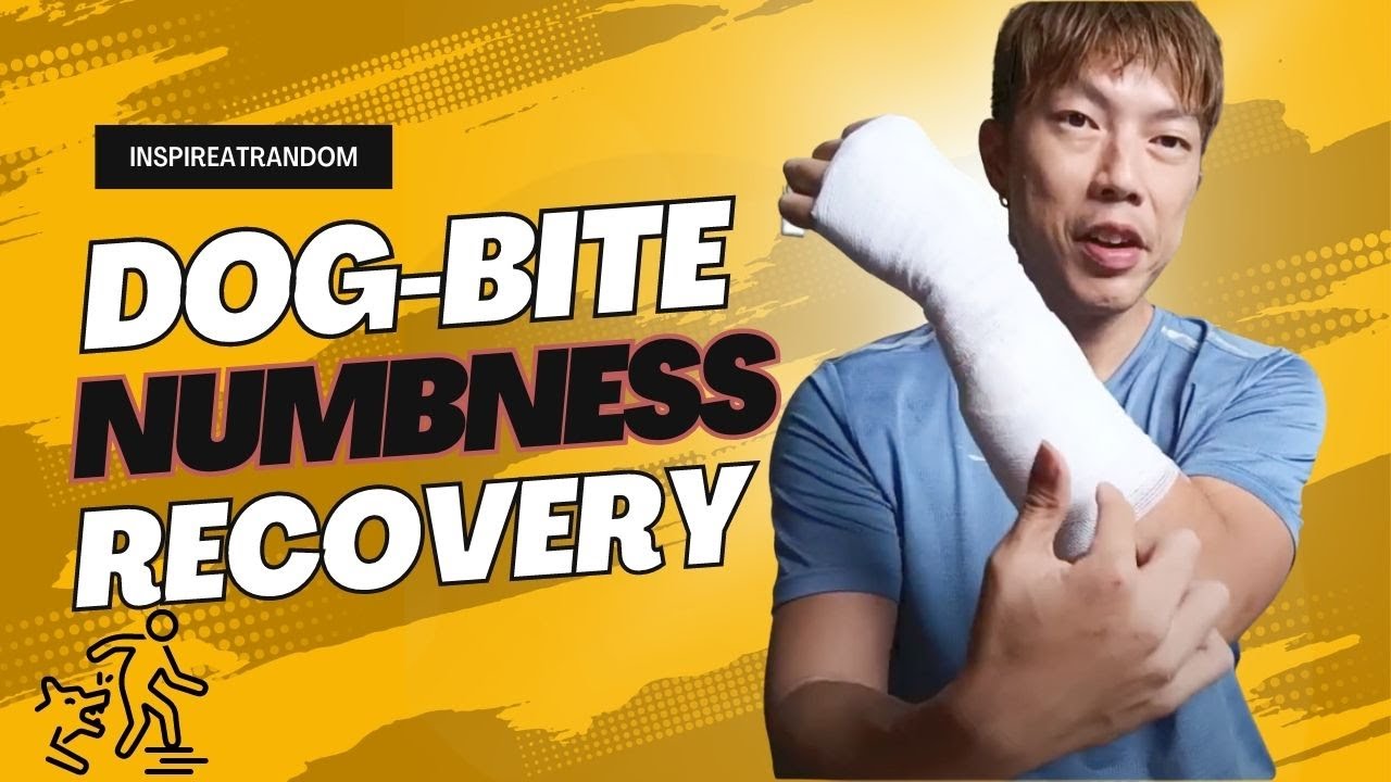 Dog Bite Recovery Journey: Numbness, Neuropraxia & Grip Strength | Case Study & Advice