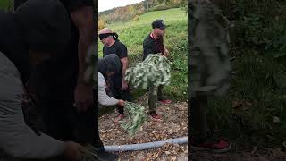 Macumba Pesada Na Europa Casa De Marabô Invadiu