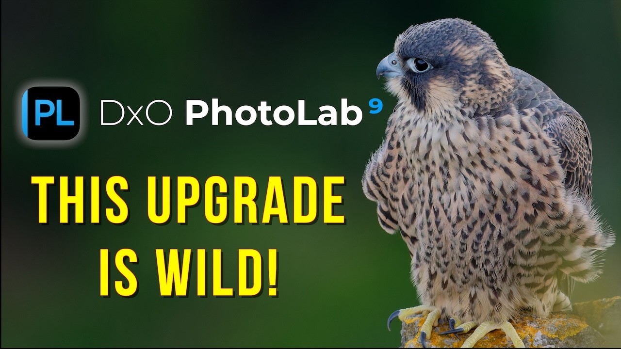 DxO PhotoLab 9 - What's new - Photo Editing for Wildlife Photographers