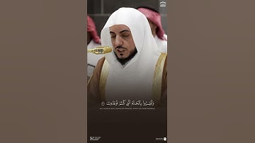 تلاوة من #سورة_فصلت #الشيخ_الوليد_الشمسان #مكة_المكرمة #الحرم_المكي #المدينة_المنورة #دويتو