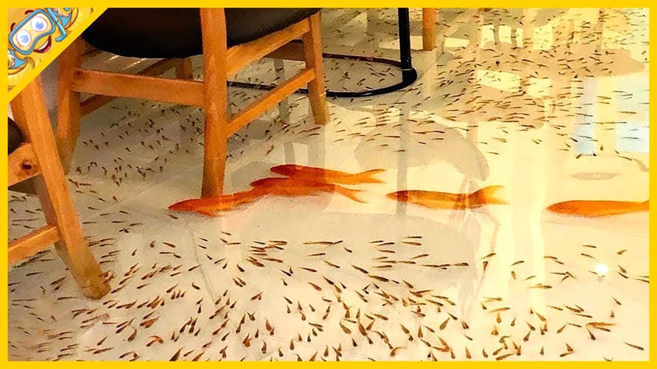 10 Nejdivnějších Restaurací