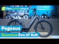 Pegasus Ravenna Evo 5F Belt - Deze Elektrische Stadsfiets is Altijd een Goede keus