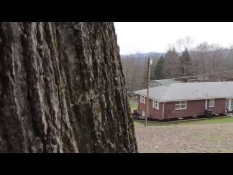 331259 548 Piney Hill Rd, Bristol, TN home video tour
