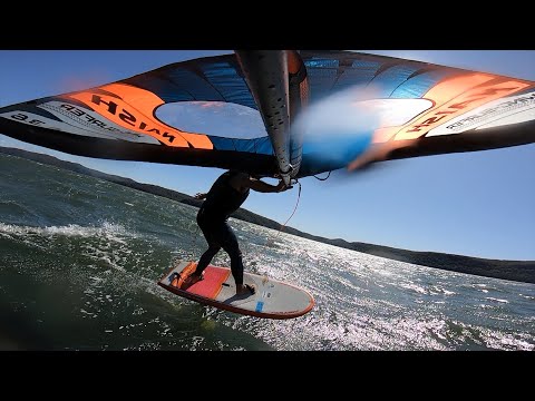 DW Freewing B-Bay