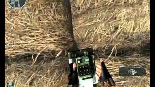Crossfire Bomb Glitches