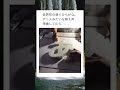 冷静に解説できるの強すぎるw #shorts #おもしろ