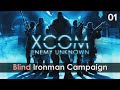 XCOM Retrospective - The Game That Started A Revolution #1