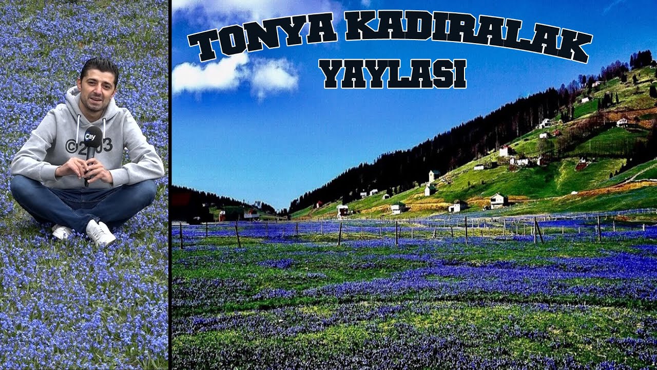 Trabzon Kadıralak Yaylası ve Canikdere Şelalesi Programı