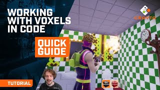 Quick Guide - Working with Voxels in Code