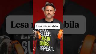 Adevărul despre lesa retractabilă în dresajul canin | Robert Caraman