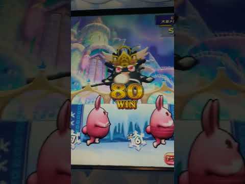 カラコロッタ　サファイア５００枚チャレンジ。