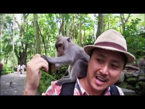 [World Theme Travel] Islands of the Wild, Lombok and Bali Part 1