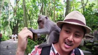 [World Theme Travel] Islands of the Wild, Lombok and Bali Part 1 screenshot 5