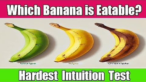 INTUITION TEST