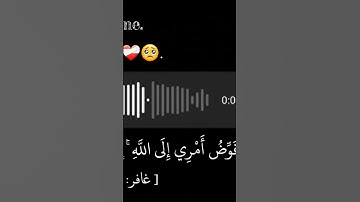 وافوض امࢪي الى الله❤️‍🩹#سورة_غافر #آية44#قران_كريم #لايك #اكسبلور #