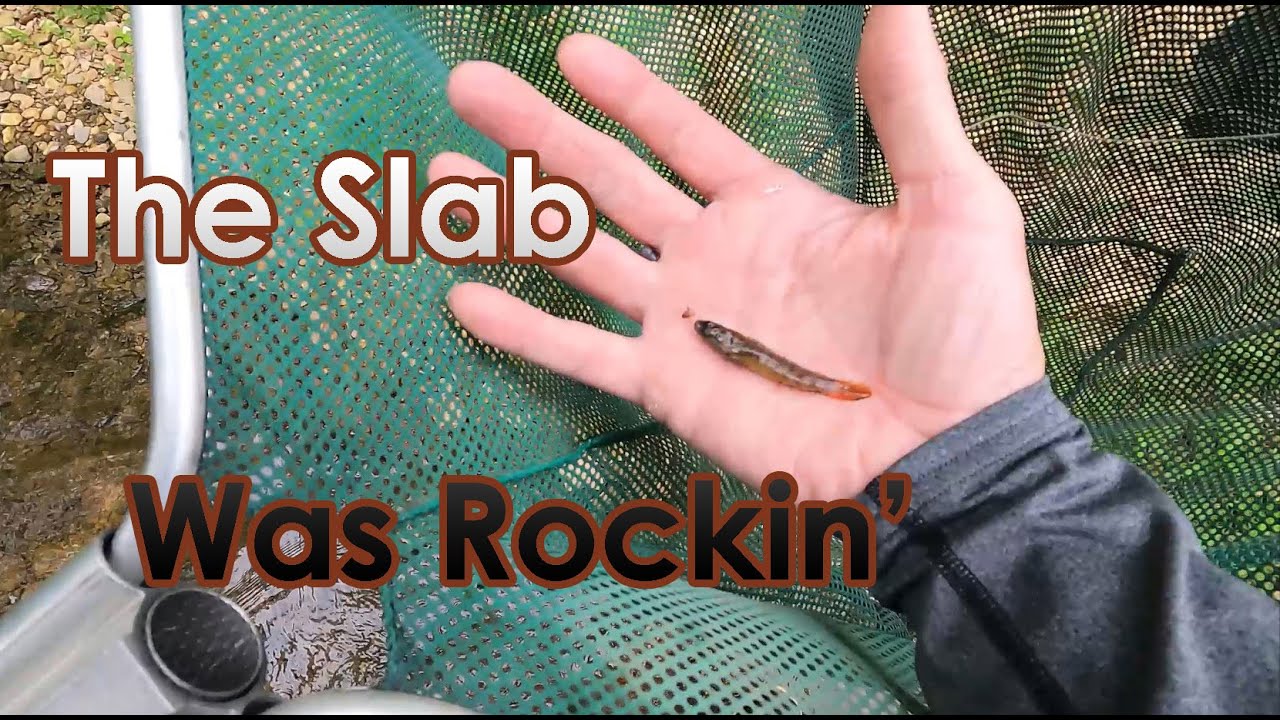 Microfishing: Darting the Bullseye, Day 3, Part 1