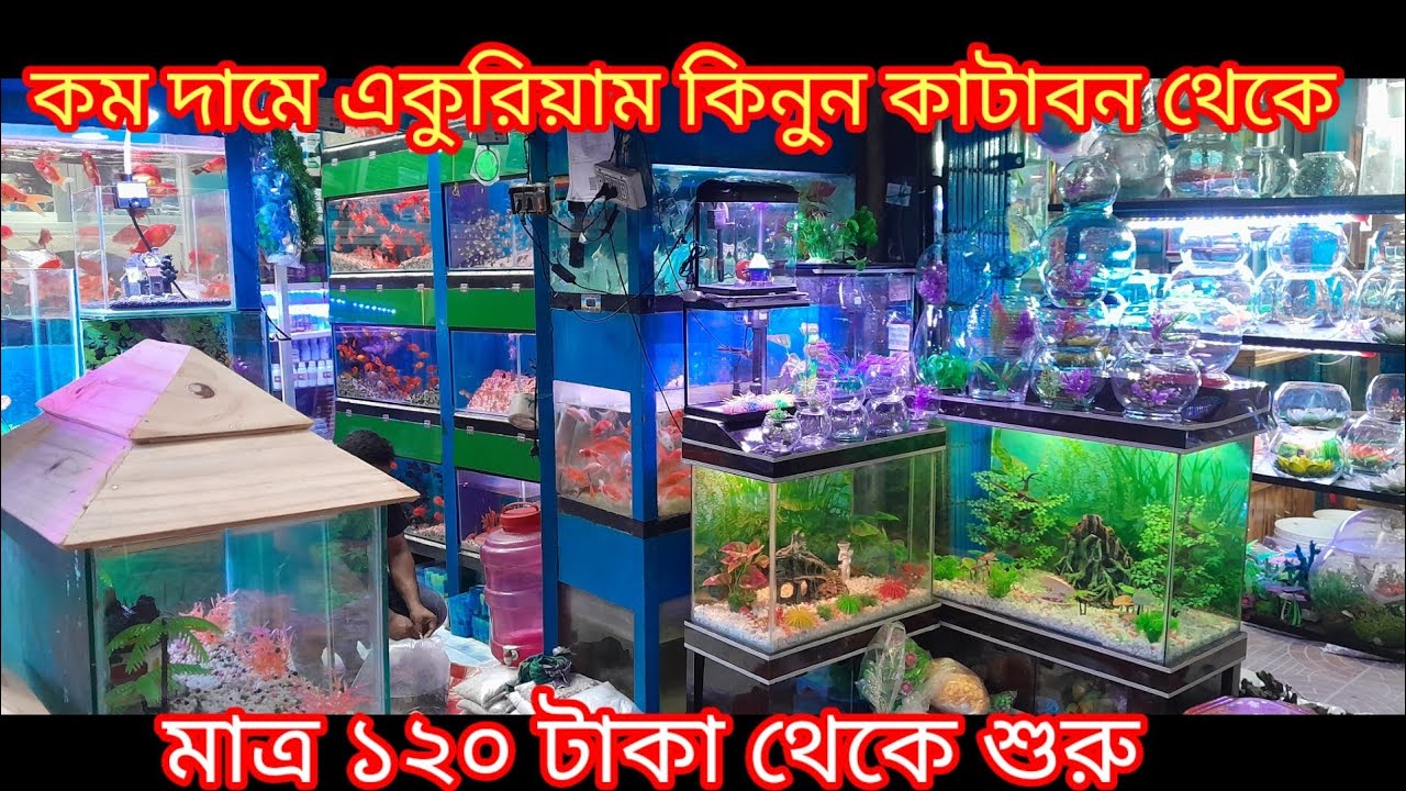 ১২০ টাকা থেকে শুরু একুরিয়াম / কম দামে একুরিয়াম কিনুন কাটাবন থেকে / Aquarium price in Bangladesh