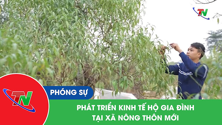 Kinh tế hộ gia đình là gì năm 2024