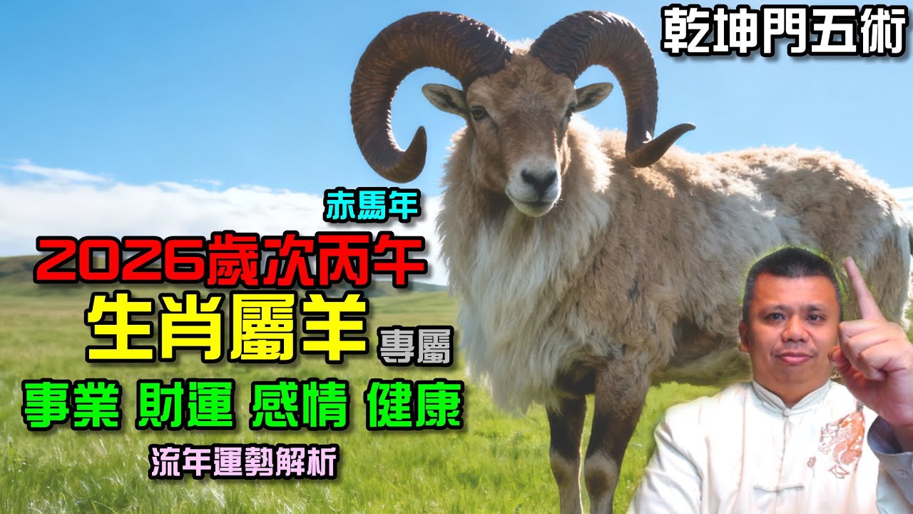 生肖屬羊專屬！2026丙午馬年流年預測解析