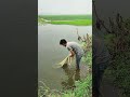 Traditional Net Fishing In River #ytshorts #shortvideo