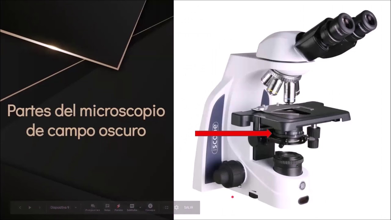 Microscopía campo oscuro, FMUAQ, Laboratorio de Microbiología.