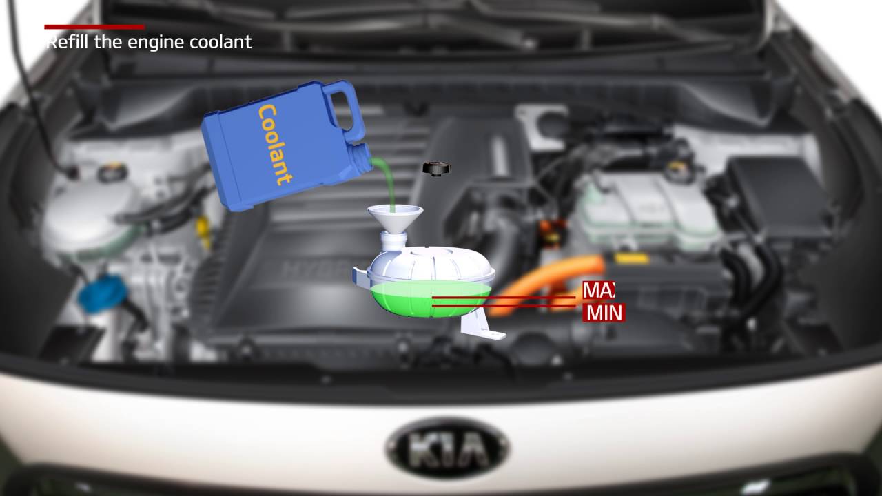 Niro - Refill the engine coolant (For EU) - YouTube
