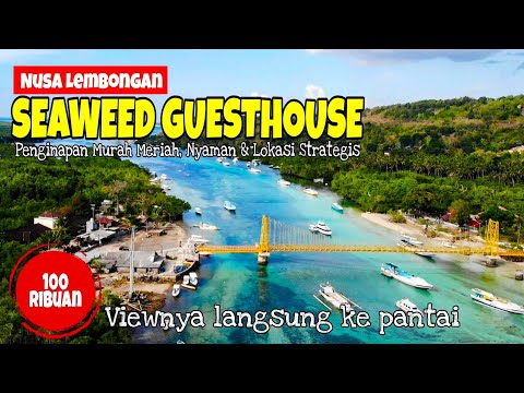 SEAWEED GUESTHOUSE Nusa Lembongan | Penginapan Murah Meriah, Nyaman & Lokasi Strategis