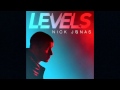 Levels- Nick Jonas (Lyrics)