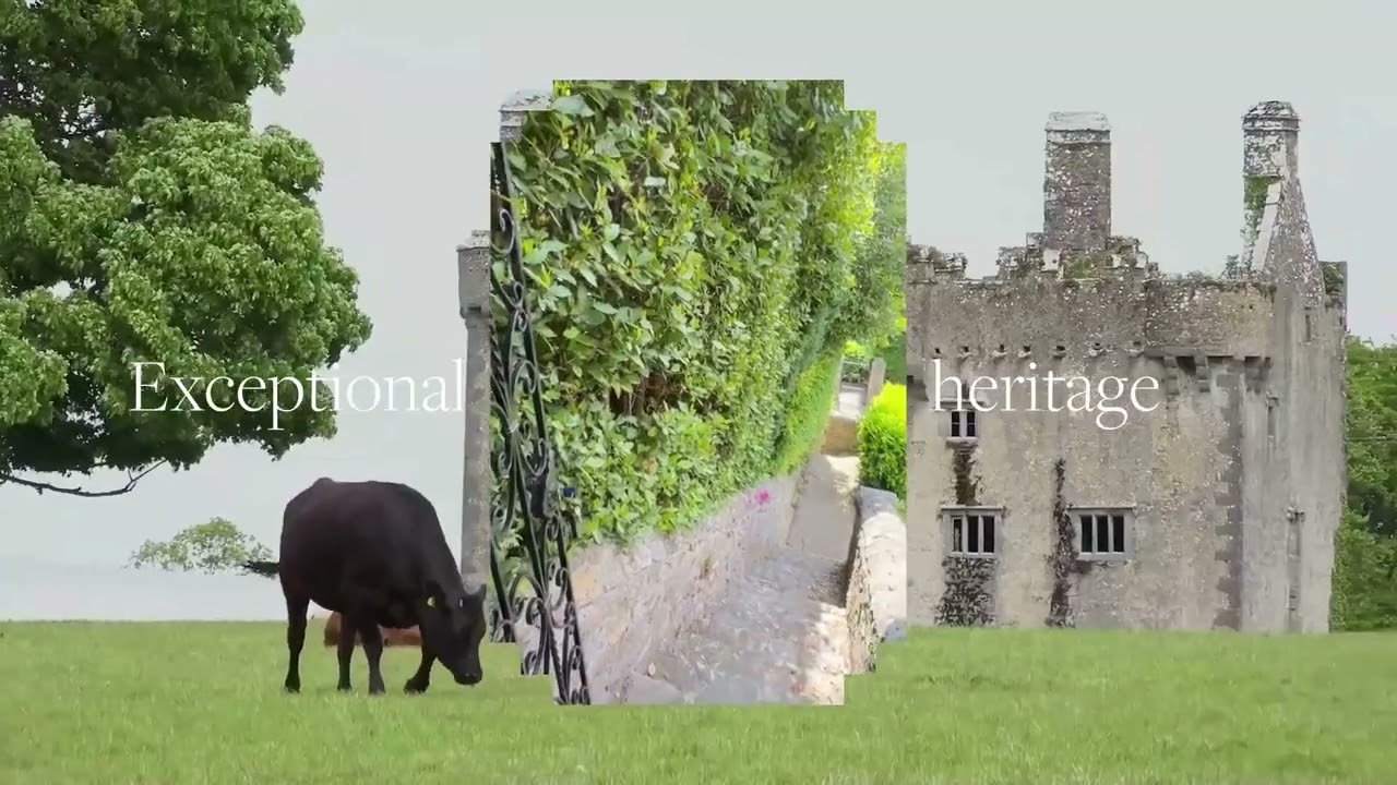 Lisney Sotheby's International Realty