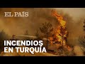 Decenas de INCENDIOS afectan a varias provincias de TURQUÍA