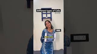 Types of cells in human body (part-2)