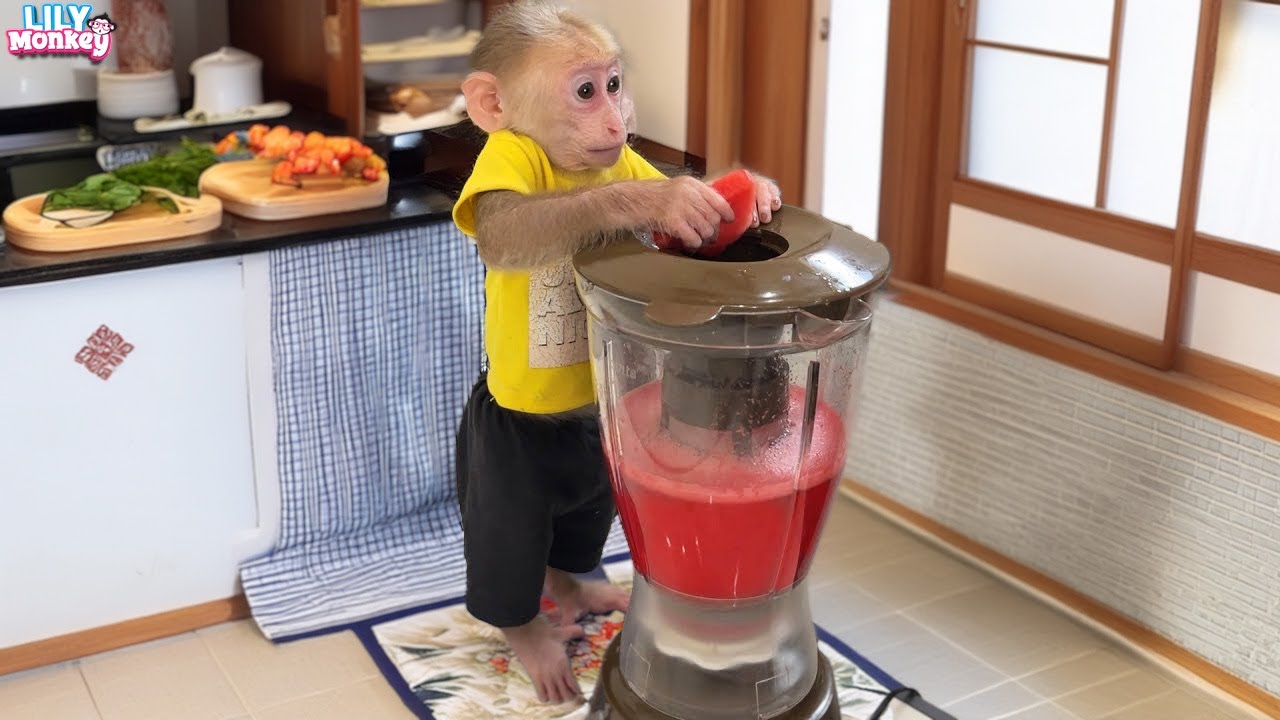 Great! Lily helps dad make refreshing watermelon juice on a hot summer day | Lily's story