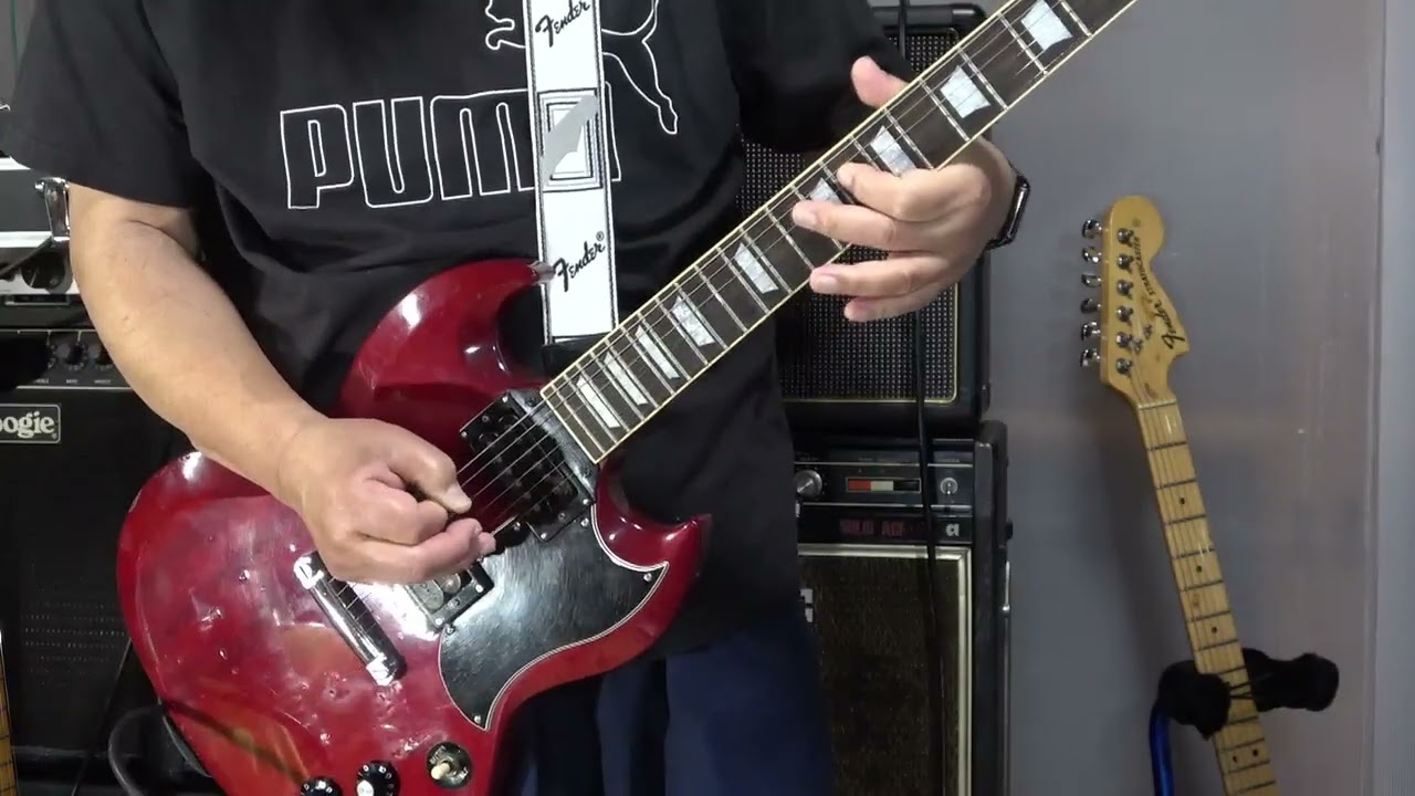 1980 トーカイ　SS60 grinningdog mod kissy's Guitar Collections】Tokai TSG-60CH 1963 REFINE MODEL 1985