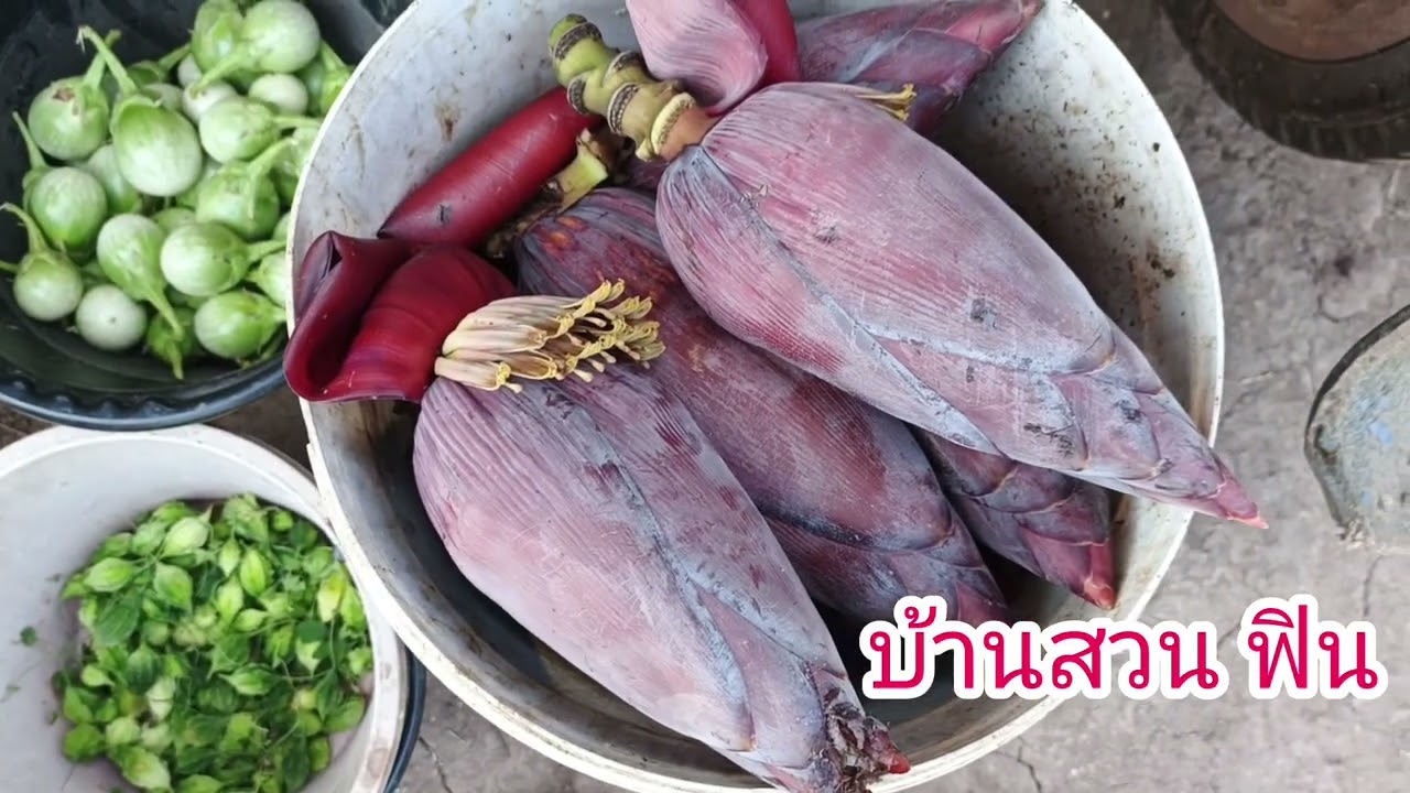 วันนี้สบายตาไรเก็บผักไว้ให้❤❤