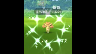 Shiny Vulpix - Regular form Shiny Vulpix - Regular form