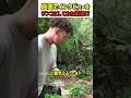 【笑劇】庭園でインタビューをワンコにしてみた結果!?　#いぬ #犬 #ワンコ #犬動画 #衝撃映像 #犬のいる暮らし #面白い #面白動画 #かわいい #カワイイ #shorts