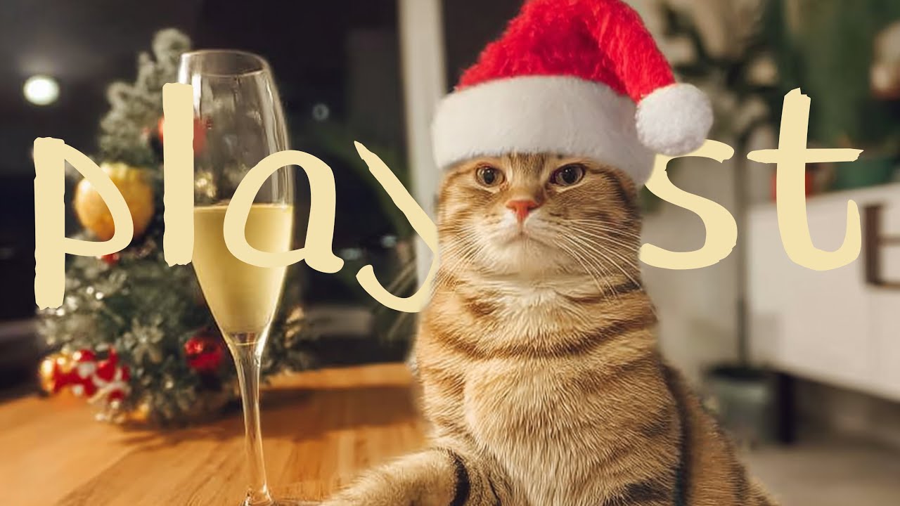 [𝐏𝐥𝐚𝐲𝐥i𝐬𝐭] 그냥 틀어놓는 겨울 캐롤 플레이리스트❄️🎵 | 편안한 홀리데이 캐롤🎄| Holiday Mood ON🎧