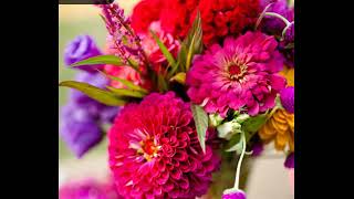 shakil Ma raza nezdi yara  by farida khan and hidayatullah