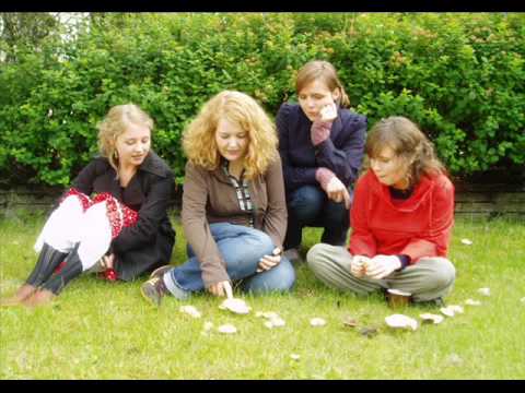 amiina — Amiina - Bláskjár