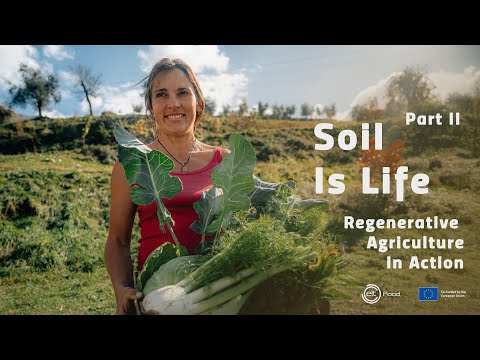 Soil is Life - part II - Inspiration from a beautiful Italian Regenerative Farm