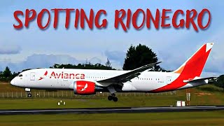 Spotting en el Jose María Córdova de Rionegro | Aterrizajes y Despegues en MDE | Spotting Plane