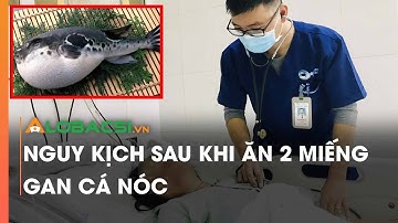 Nguy kịch sau khi ăn 2 miếng gan cá nóc